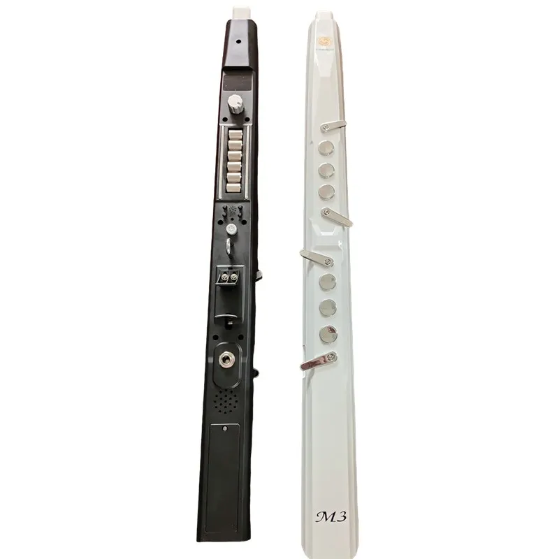 EWI electronic wind instrument